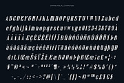 Darvine Pixel, a Serif Font by Craft Supply Co. (Thumbnail 8 of 8)
