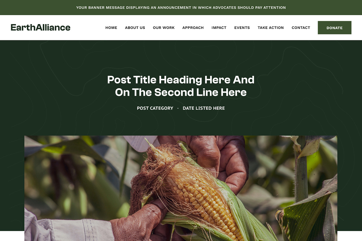 Environment Showit Website Template, a WordPress Template by Studio Humankind (Photo 10 of 20)