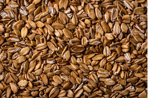 Texture of wheat grains close-up, a Food & Drink Photo by Yulia Furman