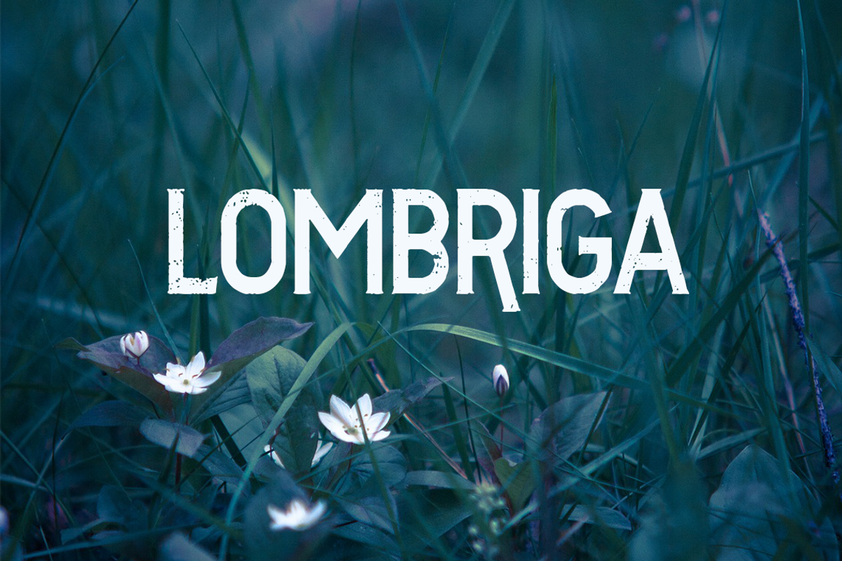 Lombriga