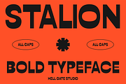 Stalion Bold Typeface, a Sans Serif Font by GRVS Studio (Thumbnail 1 of 6)
