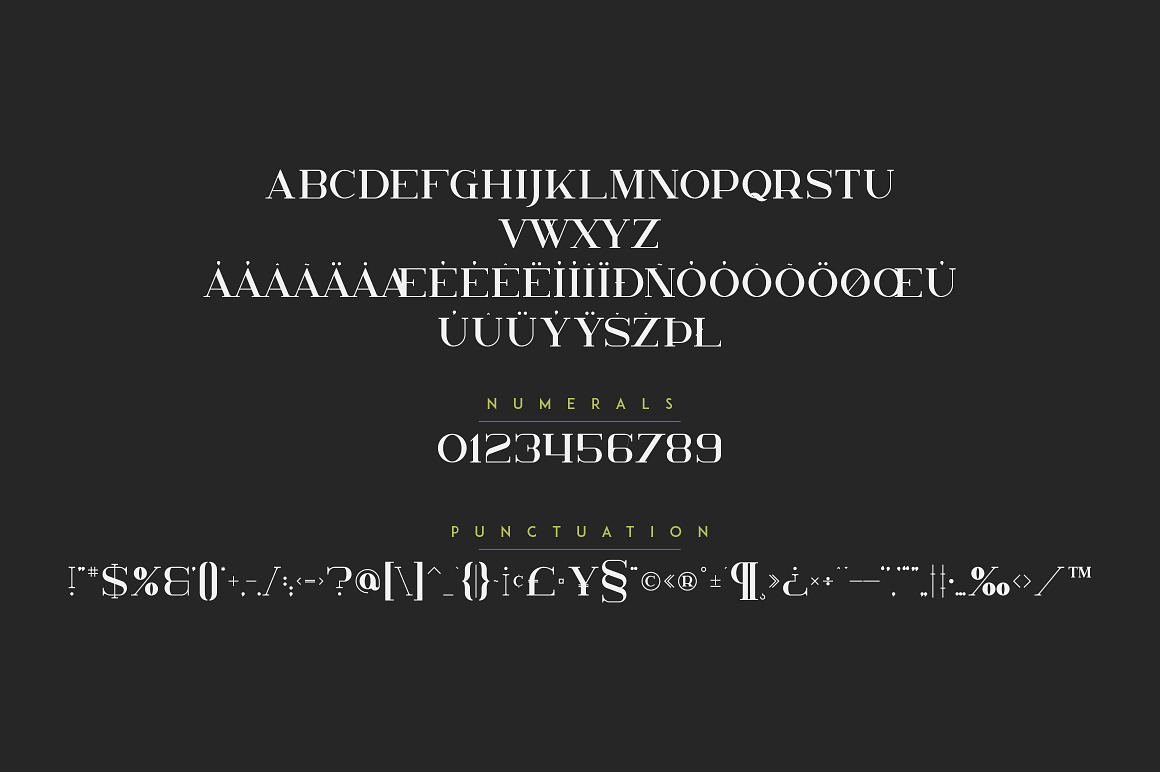 Kavo Font Bundle 17in1 + 24 logos, a Serif Font by VP Fonts (Photo 20 of 23)