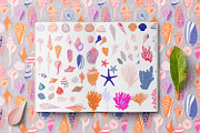 seashells collection, a Texture Illustration by Mona Ahmed (Thumbnail 9 of 10)