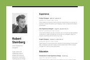 Big Set of Professional Resumes 1, a Resume Template by DEFNST (Thumbnail 2 of 14)