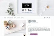 Islene / Blog & eCommerce Theme, a WordPress Template by AlienWP (Thumbnail 2 of 4)