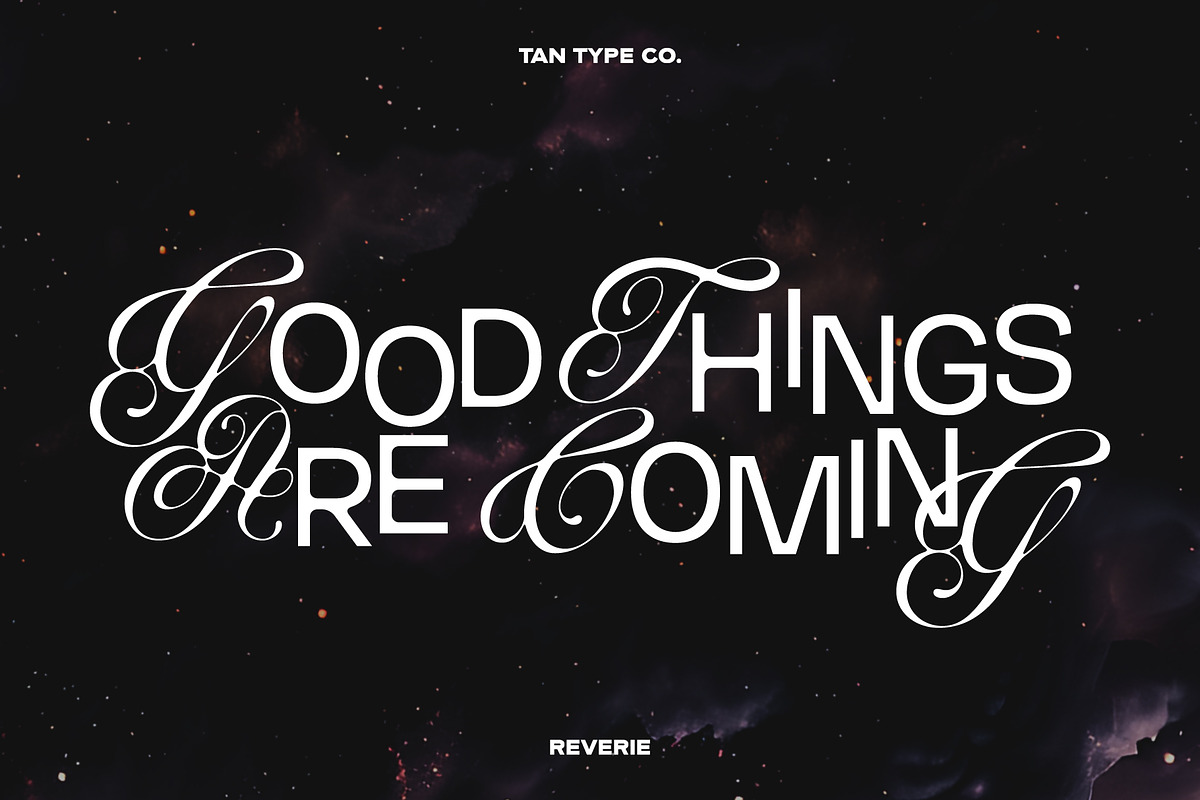 TAN-THE REVERIE, a Sans Serif Font by TanType (Photo 9 of 11)