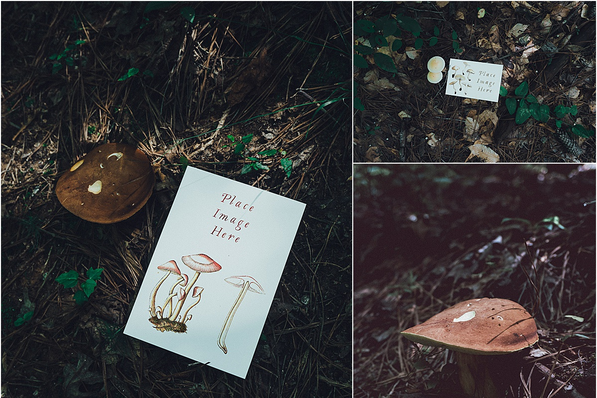 Mushroom Collection Vol. 1 - Mockups, a Print Template by Wild Joy Studios (Photo 4 of 5)