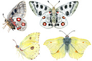 Watercolor butterflies 2, an Animal Illustration by Watercolor fantasy (Thumbnail 4 of 5)