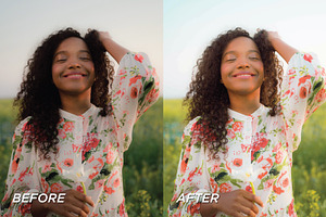 20 Spring LR Presets Video Filters