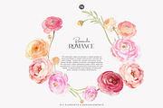 watercolor ranunculus clipart set, a Decorative Illustration by Patishop Art (Thumbnail 4 of 10)
