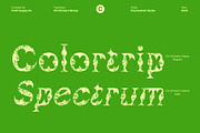 CS Chimera Stamp, a Serif Font by Craft Supply Co. (Thumbnail 3 of 8)