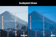 8 Wes Anderson Lightroom Presets, a Preset Add-On by Gridfiti (Thumbnail 4 of 9)