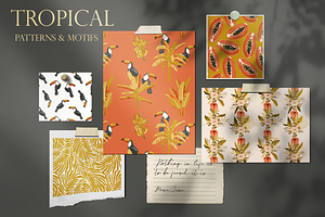 Tropical Story. Patterns Collection.