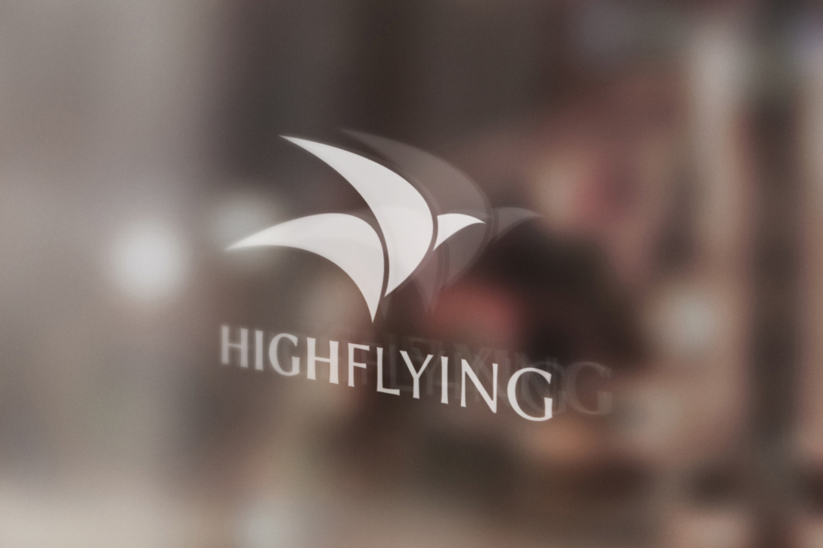 High Flying Logo, a Branding & Logo Template by ashenterprise
