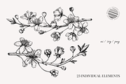 Vintage Cherry Blossom Vector Set, an Object Graphic by Yevheniia (Thumbnail 3 of 9)