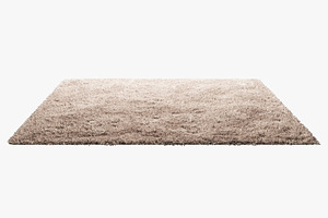 Carpets With Long Nap 3d Model