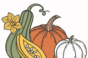 Harvest bounty featuring pumpkins, a Food Illustration by SouravDesign (Thumbnail 2 of 3)
