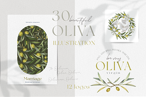Olive illustrations and logos