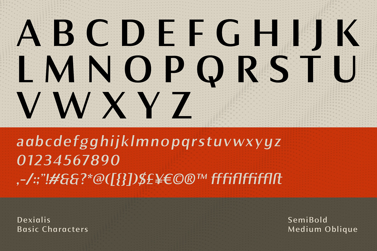 Dexialis - Sans Serif Font Family, a Sans Serif Font by Bartama Graphic (Photo 10 of 10)