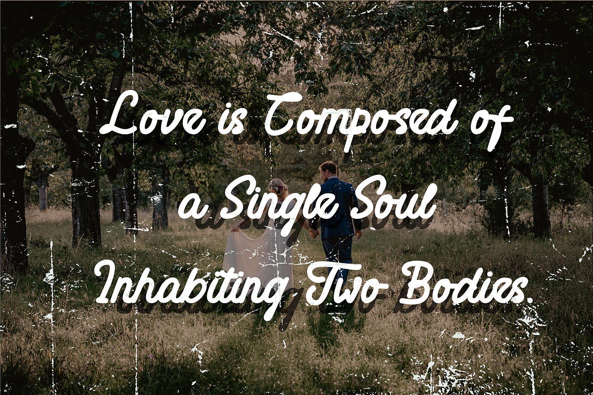 Maguiston  a Monoline Script Font, a Script Font by Javatype Studio (Photo 8 of 10)
