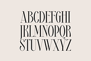 Royal Type - ligature serif font, a Serif Font by VP Fonts (Thumbnail 10 of 16)