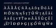 Romis, a Serif Font by Finaltype (Thumbnail 11 of 22)
