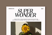 Imperial Glorieux Serif Family Font, a Serif Font by UICreative (Thumbnail 10 of 13)