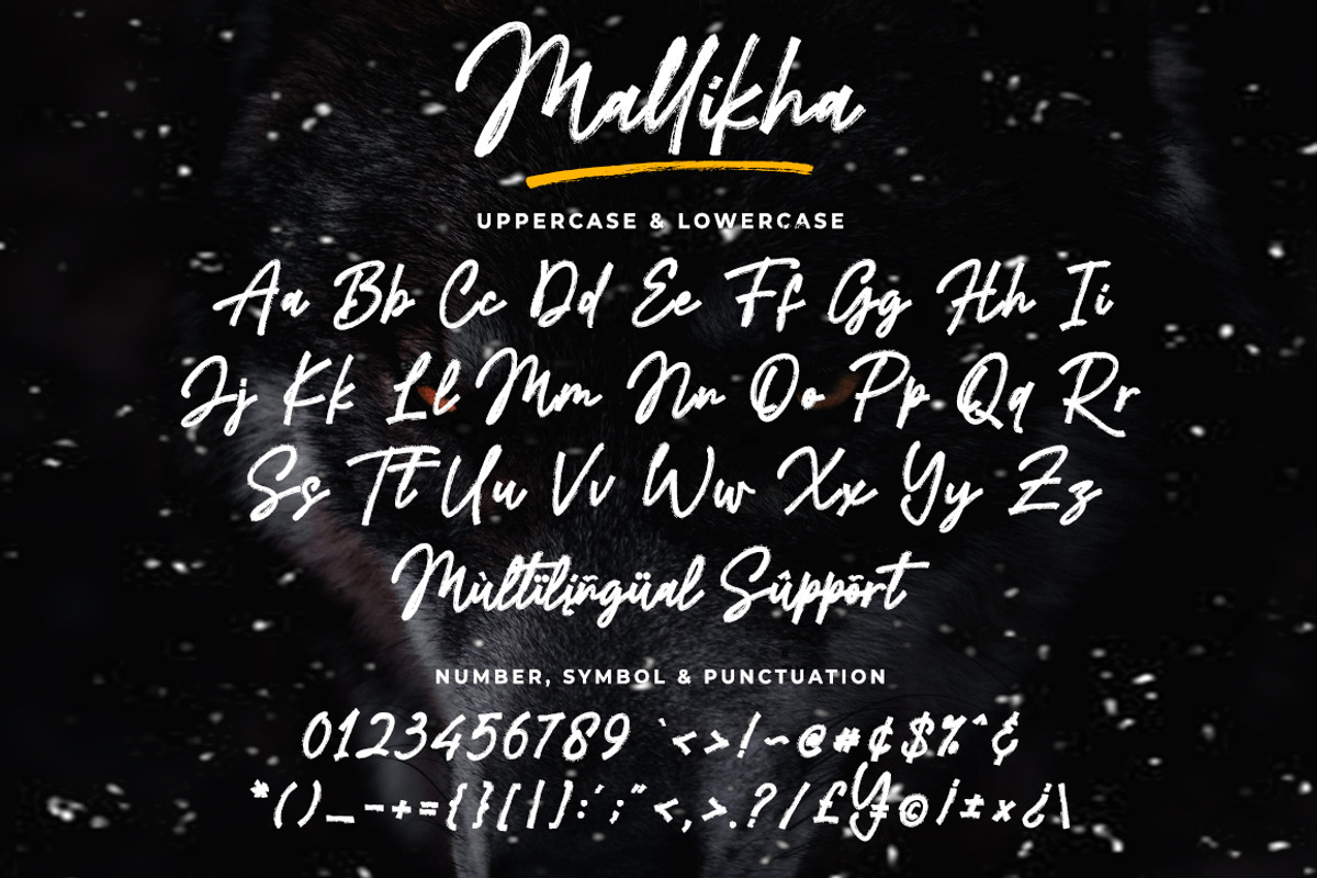 Mallikha Brush, a Handwritten Font by Gatype (Photo 5 of 7)