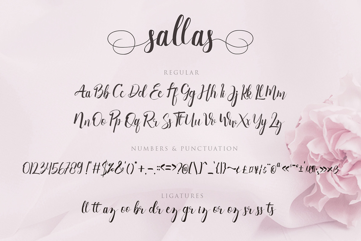 Sallas preview 7