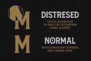 Amnestia Typeface with Extra, a Serif Font by Arterfak Project (Thumbnail 5 of 16)