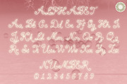 Little Clover- Botanical Script Font, a Script Font by Setara Langit CreativeStd (Thumbnail 12 of 14)