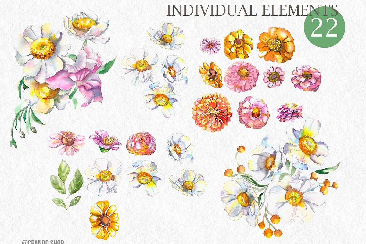 Flora watercolor floral clip art, an Illustration by CpandoShop (Photo 4 of 9)