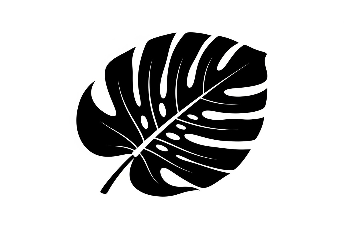 Monstera Leaf Silhouette Bundle, an Illustration by yasushie (Photo 21 of 31)