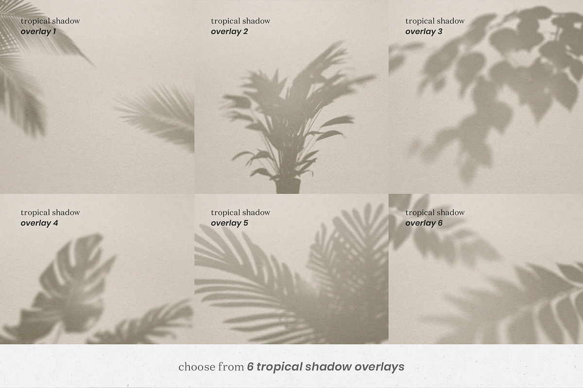 Tropical & Window Shadow Overlay, a Product Mockup by Lifestyle Project (Photo 4 of 9)