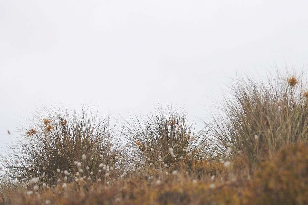 Beach Stock Photo Collection, a Nature Photo by Dee Andreoli Photography (Photo 3 of 7)
