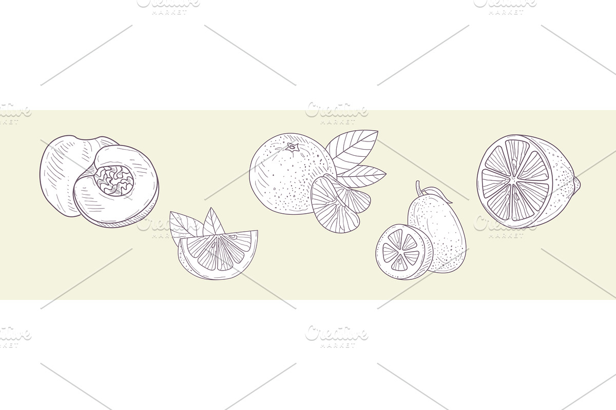 Hand Drawn Fruit and Fresh Juicy, a Food Illustration by TopVectors