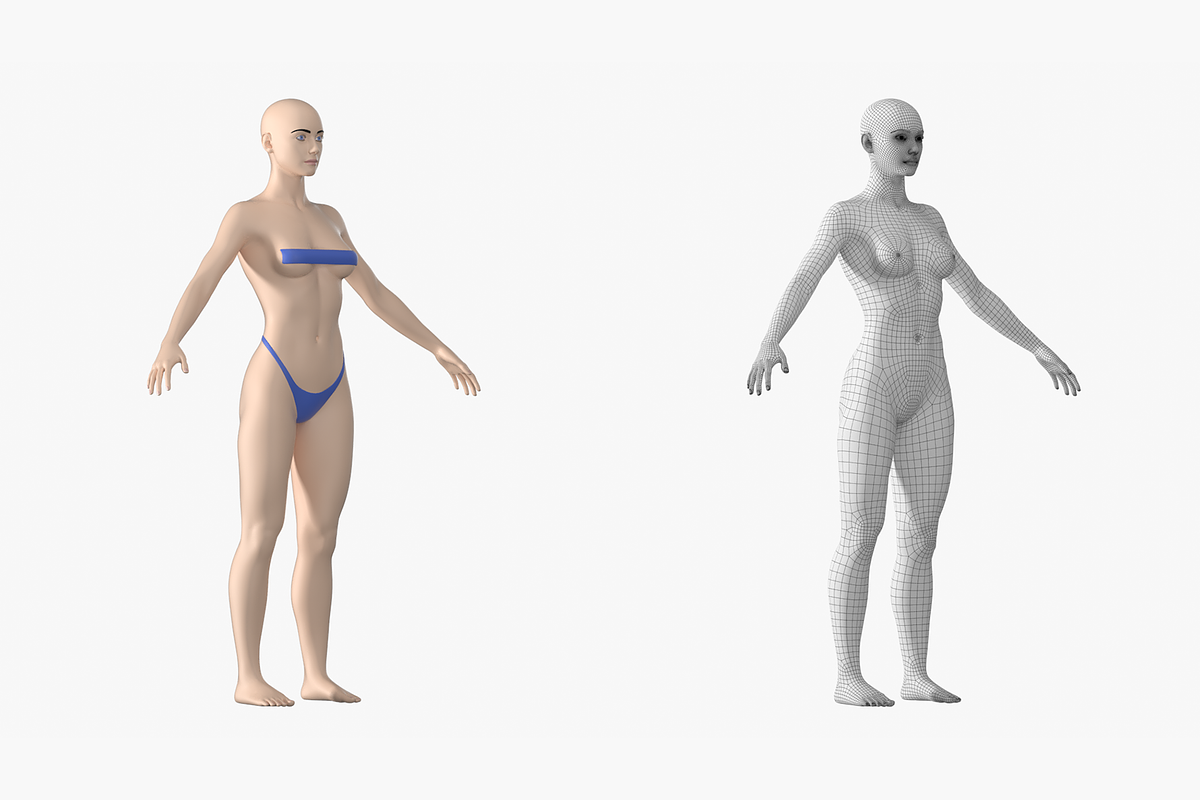 Natural Female 01 A-Pose Base Mesh, a Characters & Person 3D Model by VK Studio (Photo 4 of 26)