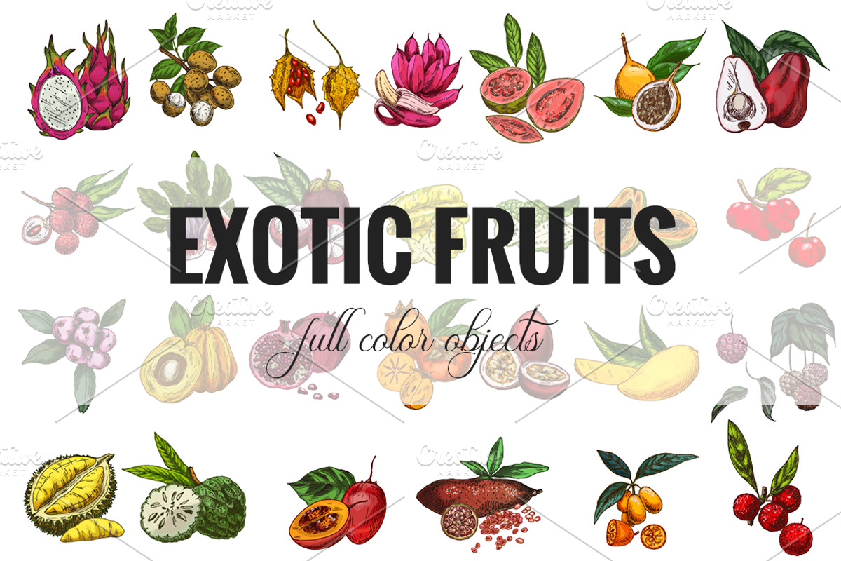Exotic fruits. Vector collection., a Healthcare Illustration by JSolomatina (Photo 2 of 9)