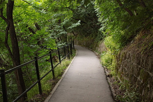 Path containing path, forest, and park