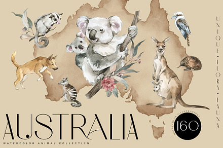 "AUSTRALIA" Flora & Fauna collection