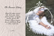 Ornament Library Frames & Overlays, an Object Graphic by Lidberia (Thumbnail 2 of 10)