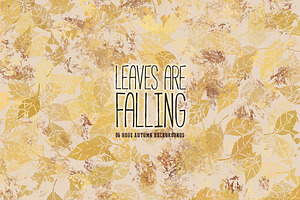 Leaves Are Falling