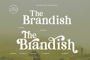 Britania Vintage, a Serif Font by Max.co Studio (Thumbnail 10 of 13)