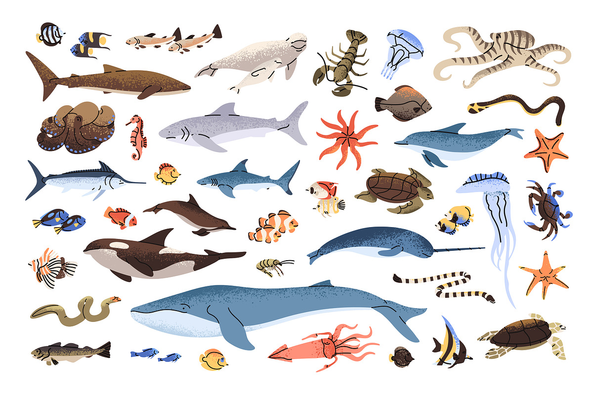 Fishes set + sea life backgrounds, an Animal Illustration by PaperTrident (Photo 2 of 8)