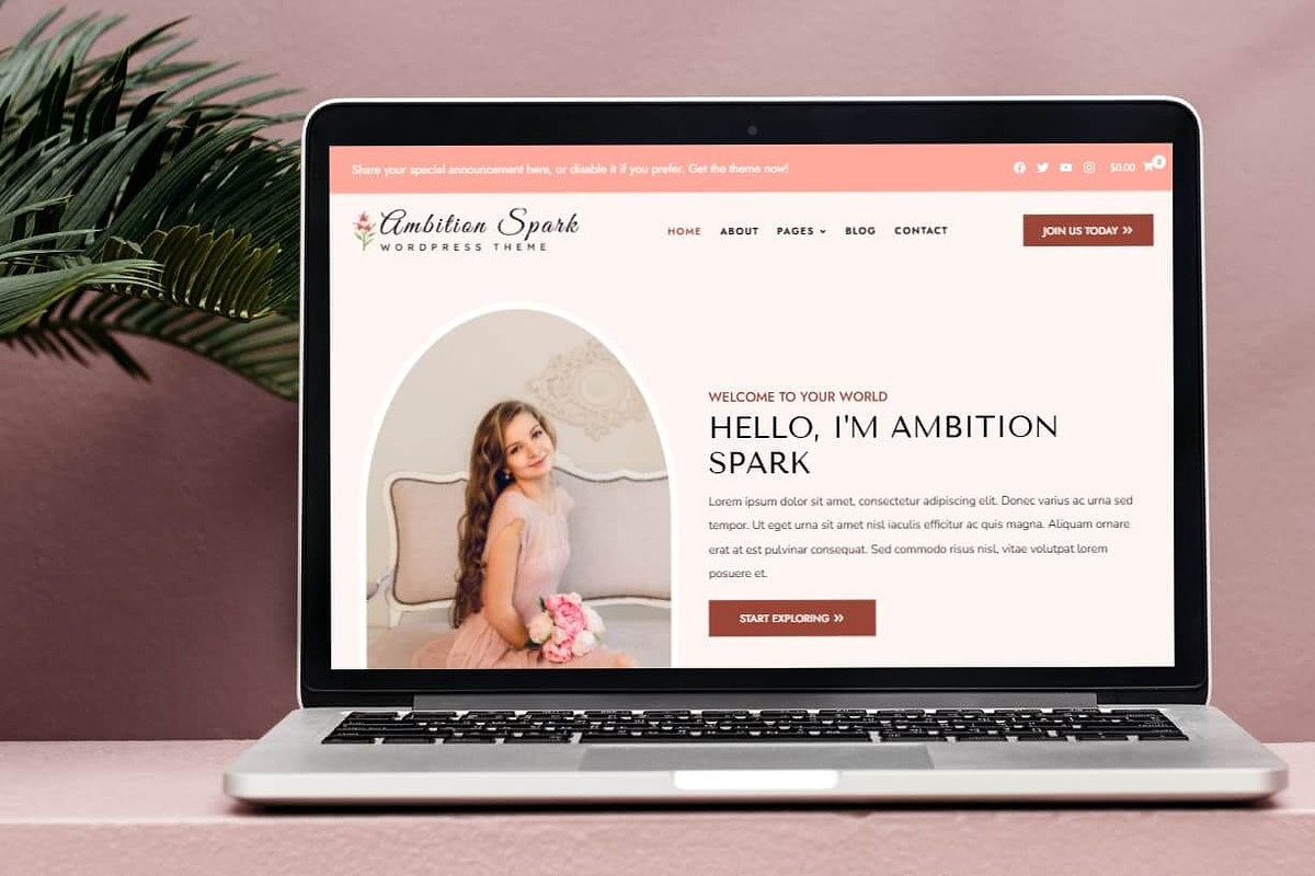 Ambition Spark WordPress Theme, a WordPress Template by Your Theme Shop (Photo 9 of 9)