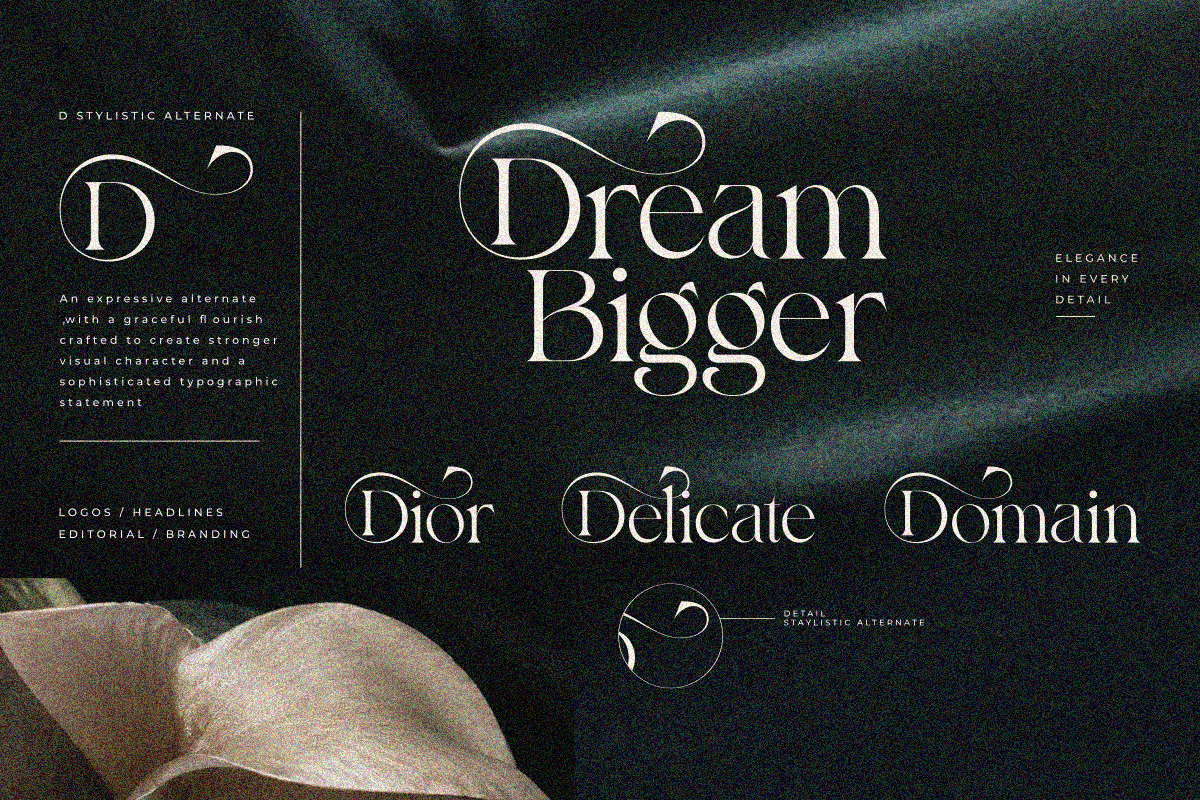 Bayari, a Serif Font by zaaintype (Photo 2 of 11)