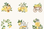 Watercolor Lemon Clipart Bundle, an Object Illustration by BusyDaydesign (Thumbnail 3 of 9)