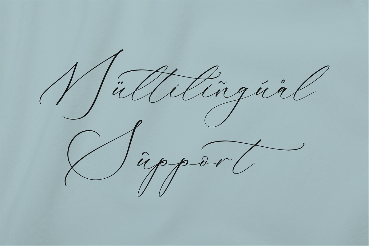 Gladioss Feather Luxury Script Font, a Script Font by Storytype Studio (Photo 12 of 15)