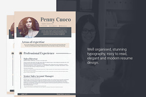 Resume Template Carminia