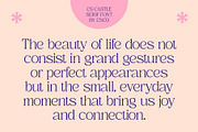 CS Castle – Elegant Font, a Serif Font by Craft Supply Co. (Thumbnail 4 of 8)